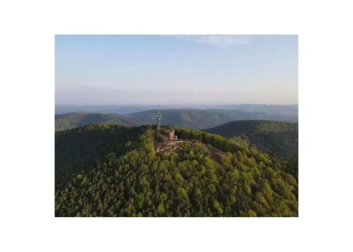 Schlafgut Comfortable